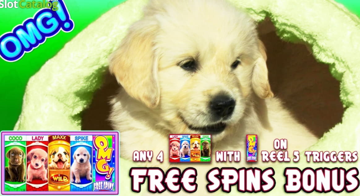 310% Casino Welcome Bonus at Casino-X