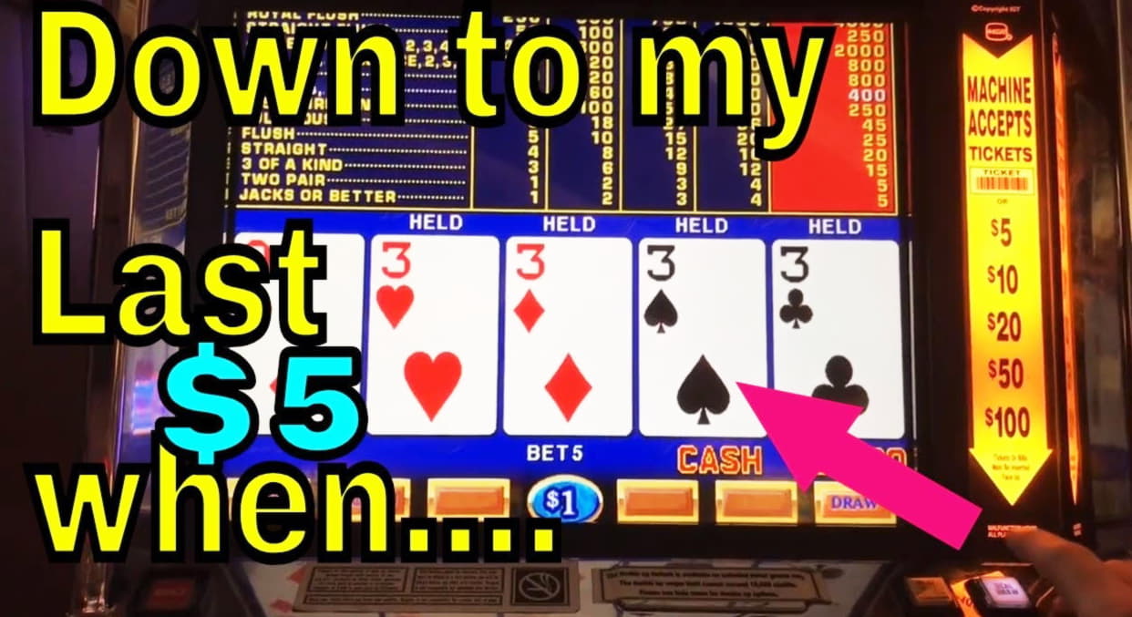 88 free spins no deposit casino at Casino Cruise
