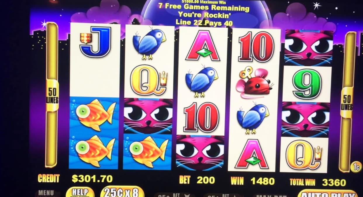 $335 Free chip casino at LV Bet Casino