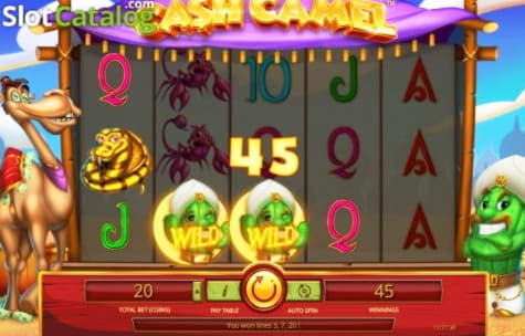 920% Welcome Bonus at Red Flush Casino