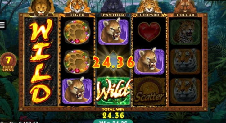 $310 Free Casino Chip at Casino Cruise