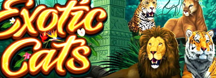 £510 Casino Chip at Casino-X
