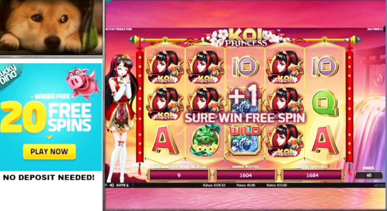 70 free spins no deposit at bWin Casino
