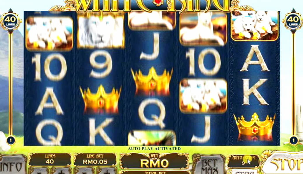 £735 Daily freeroll slot tournament at Platinum Play Casino
