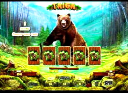 55 Free Spins no deposit casino at Wish Maker Casino