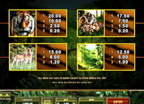 90 Free spins casino at Rizk Casino