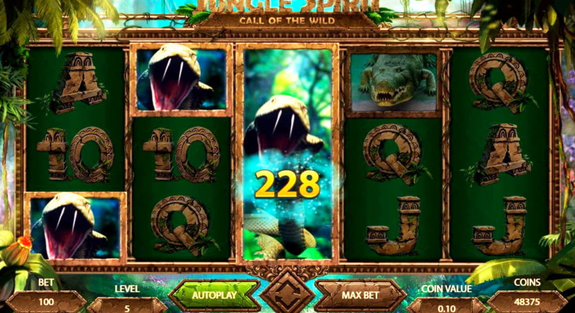 255 Free casino spins at Oshi Casino