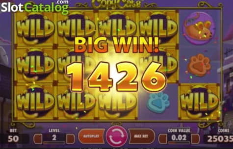 EURO 515 Free Casino Tournament at Dunder Casino