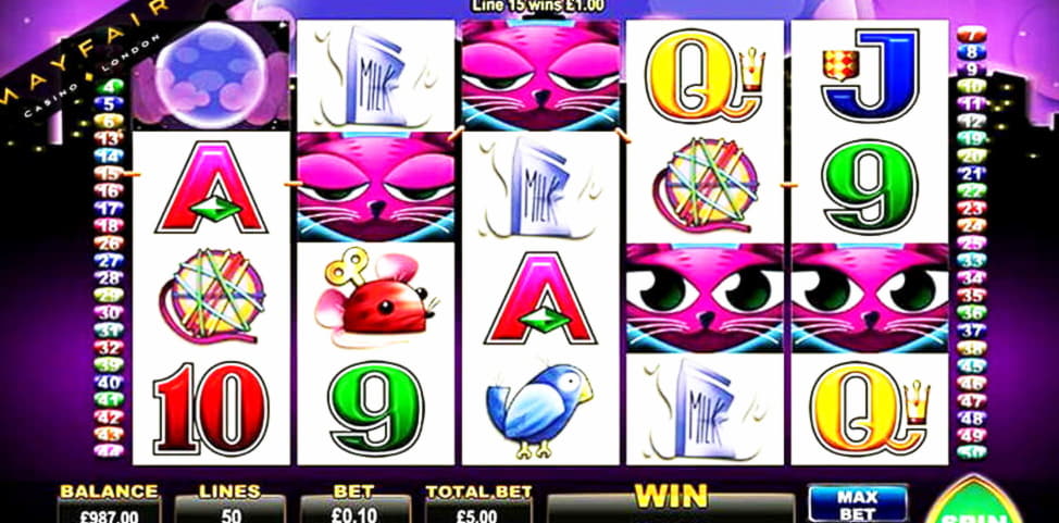£300 Casino Chip at bWin Casino