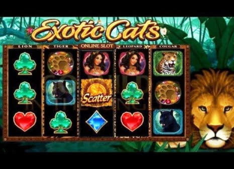 165 Free spins no deposit at Bet Hard Casino