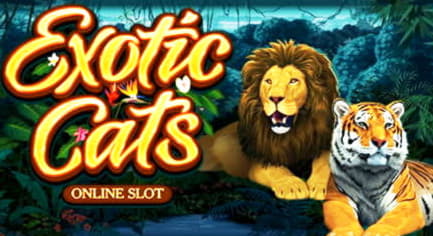 €3460 NO DEPOSIT at Wish Maker Casino