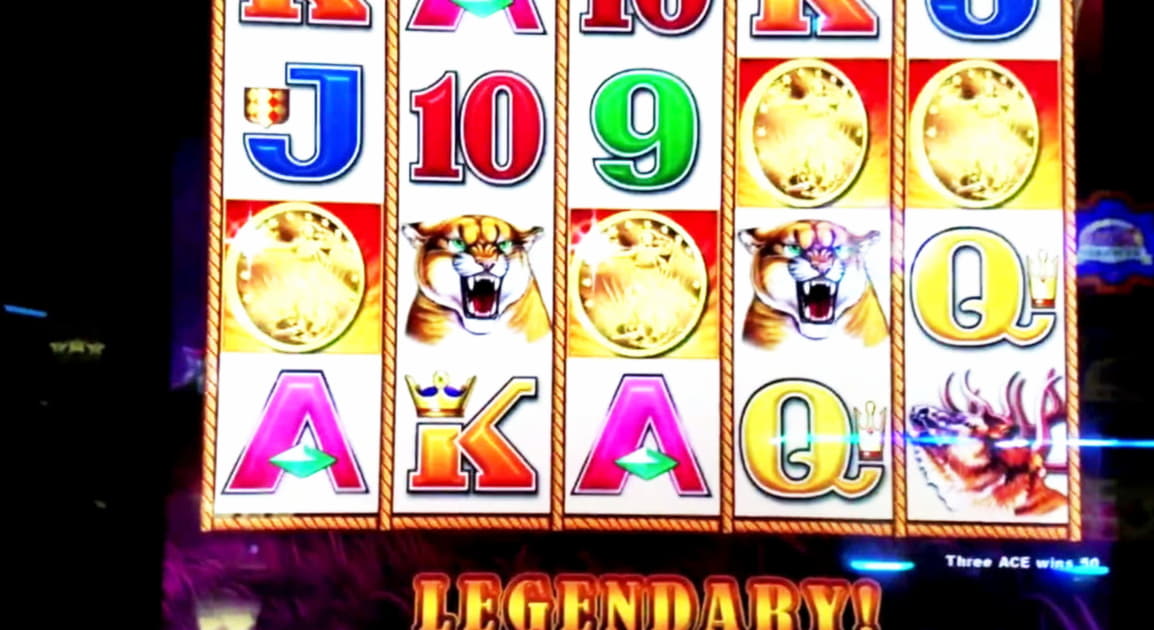 155% Match bonus at Casino Cruise