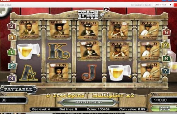 355% No Rules Bonus! at CasiPlay Casino