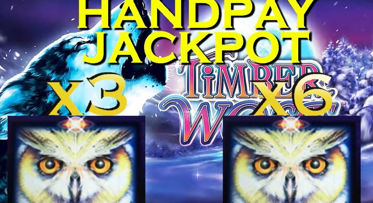 295 Free spins casino at Bet Hard Casino