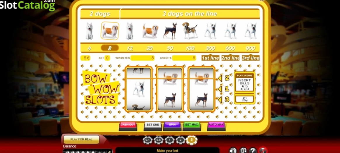 €910 Daily freeroll slot tournament at Lucky Nugget Casino