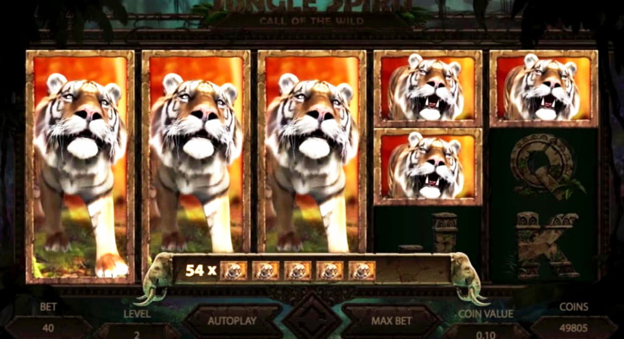 €500 free chip casino at Rizk Casino