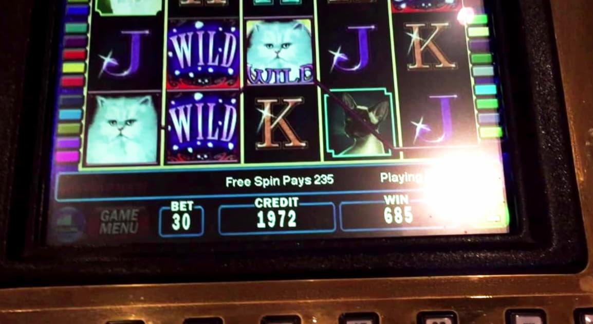 ﻿$275 No deposit bonus casino at Wish Maker Casino