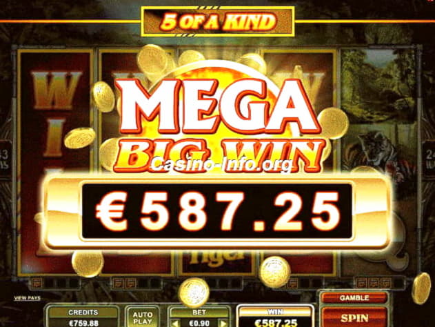 260% Match at a Casino at Rizk Casino