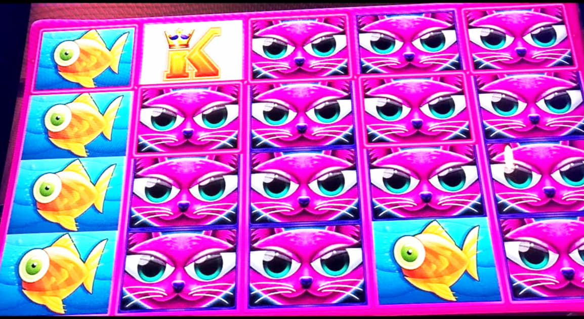 810% Match at a casino at Casino-X