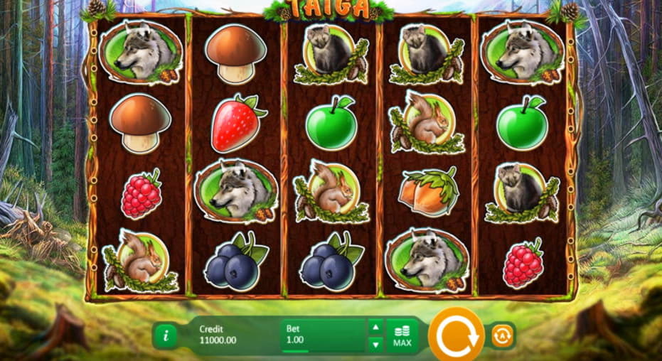 205 Free spins casino at Omni Slots Casino