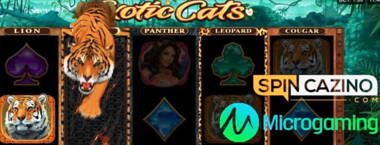 ﻿$520 Tournament at Euro Palace Casino