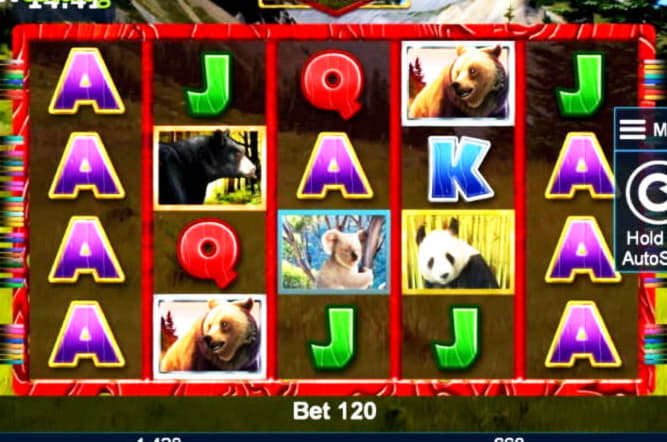 EURO 800 Online Casino Tournament at Euro Palace Casino