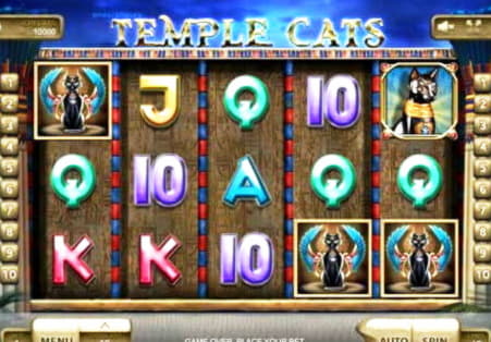 ﻿$222 Free Cash at Oshi Casino