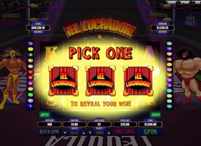 $495 Daily freeroll slot tournament at Wish Maker Casino