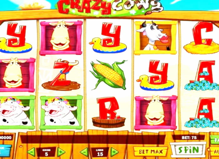 €695 Daily freeroll slot tournament at Guts Casino