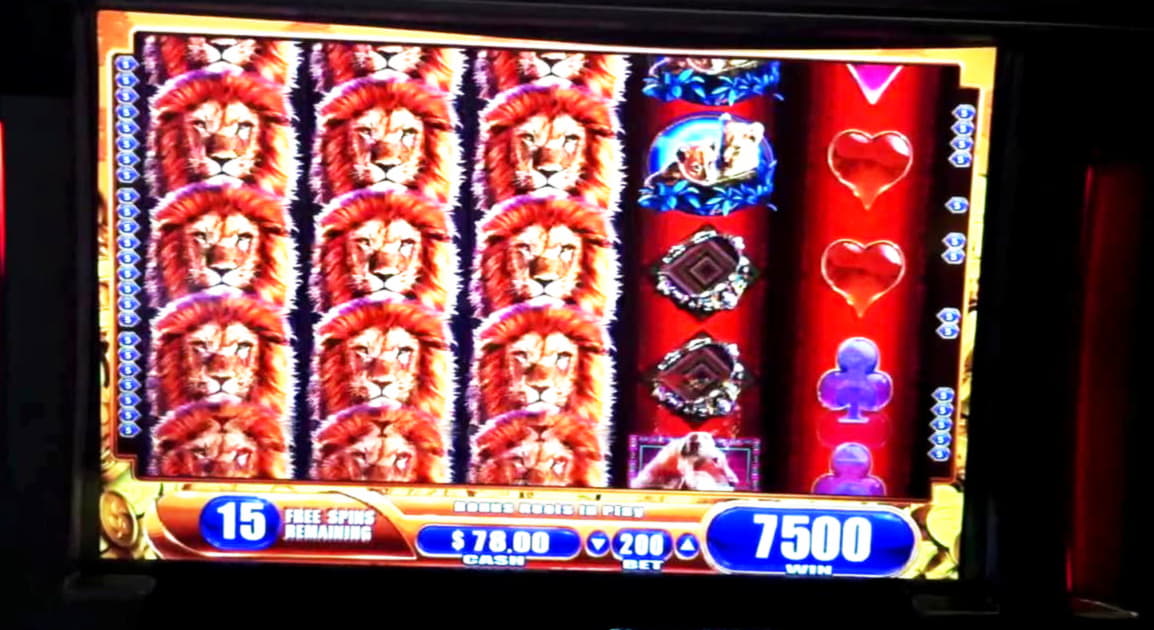 ﻿$140 Online Casino Tournament at Rizk Casino