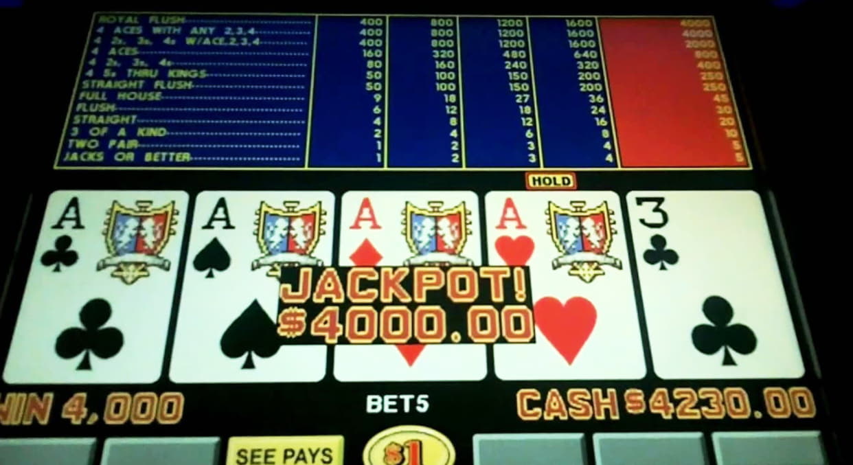 33 free spins casino at Rizk Casino