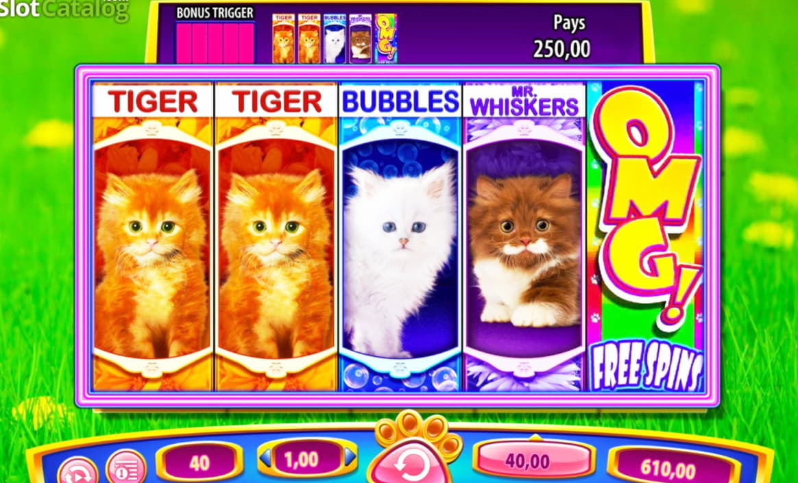 €555 free casino chip at Lucky Nugget Casino