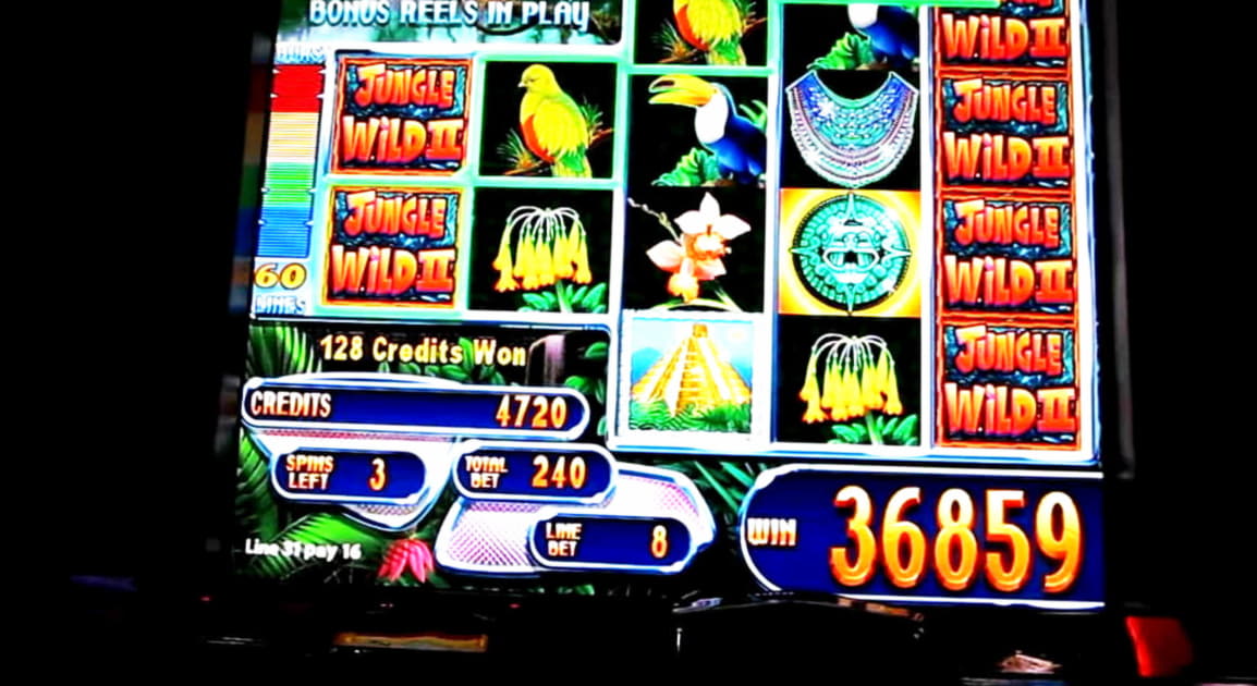 655% Match Bonus at Gratorama Casino