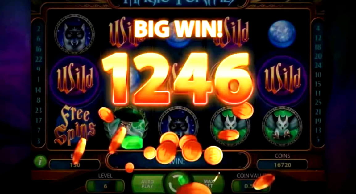 €3015 No Deposit Bonus Casino at Loki Casino
