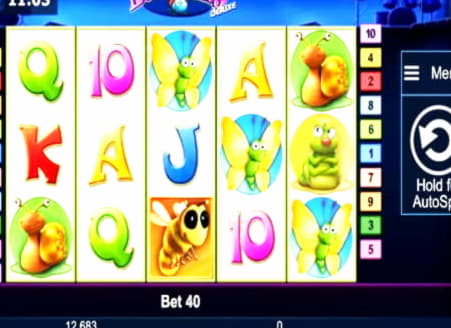 240 Free casino spins at King Billy Casino