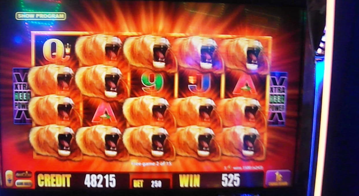 77 FREE Spins at Dunder Casino