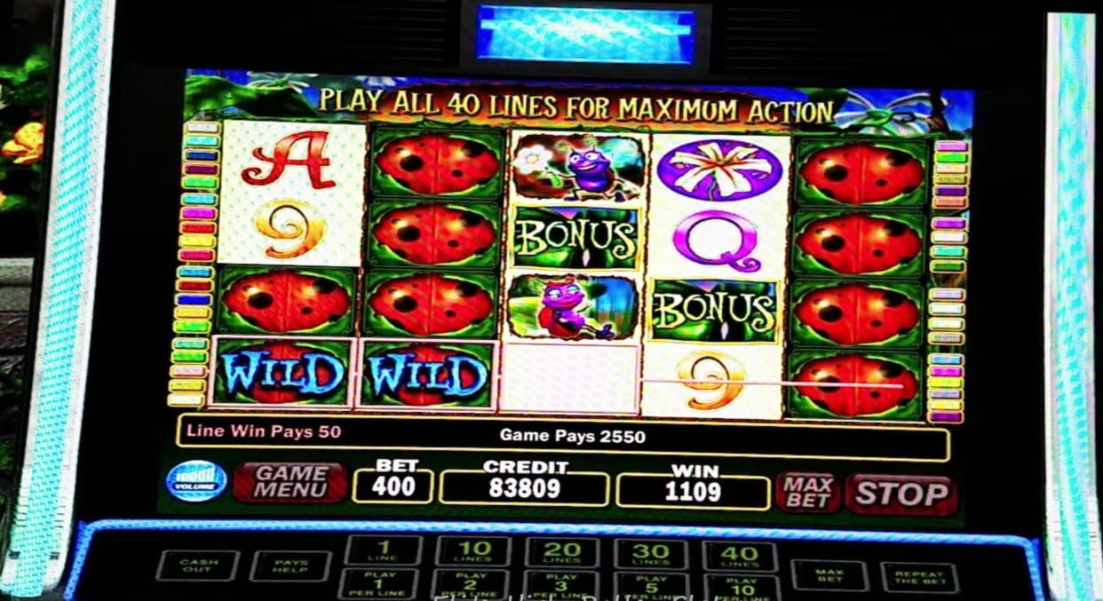 120 free spins at Casino Cruise