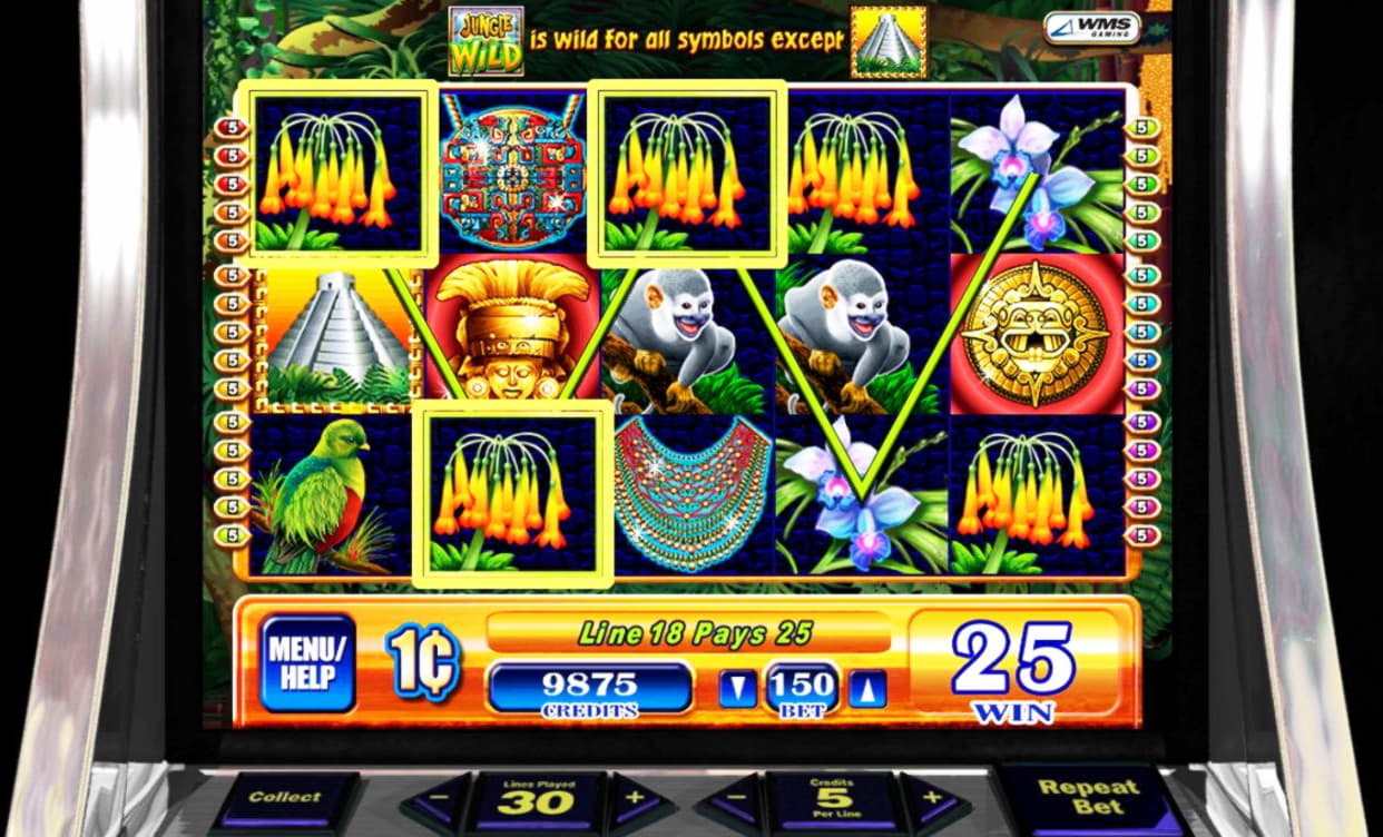 205 Trial Spins at Bet Hard Casino
