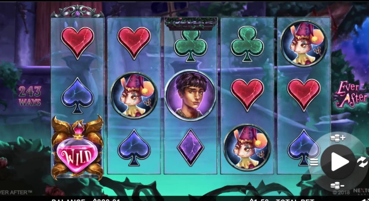 EURO 2625 NO DEPOSIT BONUS at Rizk Casino