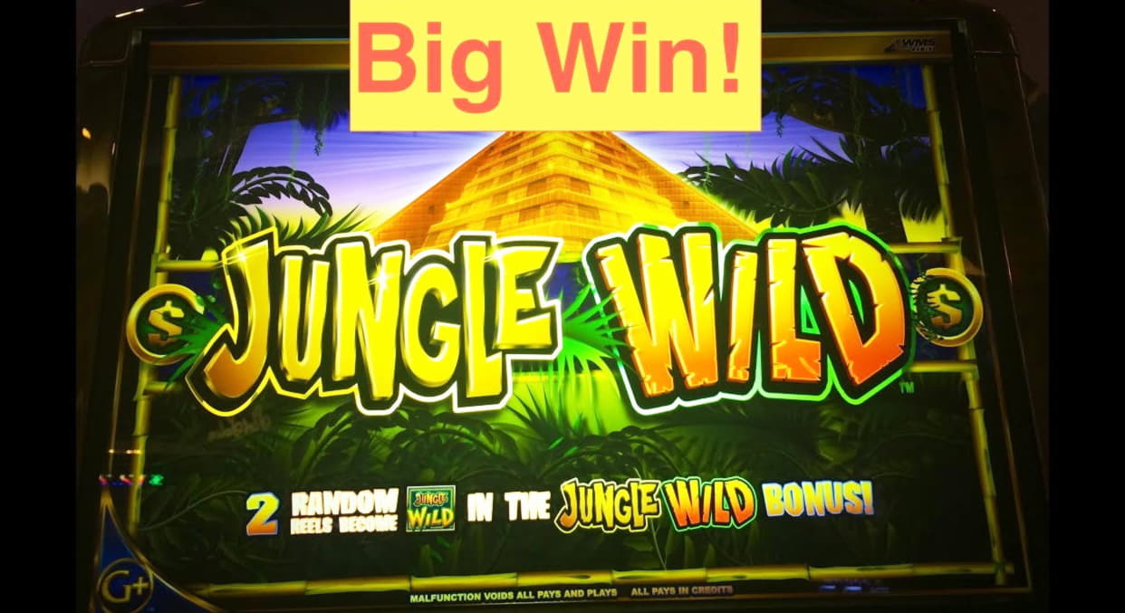 80% No Rules Bonus! at Jackpot City Casino