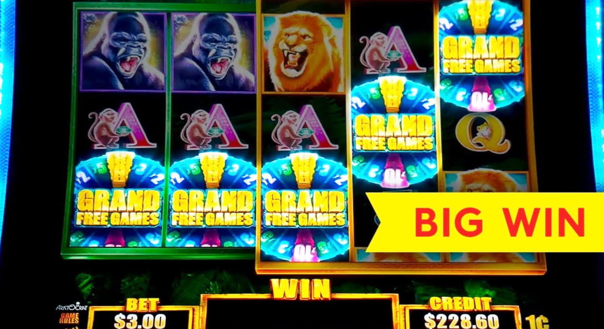 €995 Daily freeroll slot tournament at Estonia Casino 