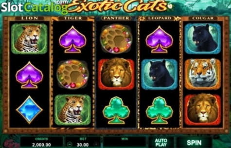 60% Deposit match bonus at Estonia Casino 