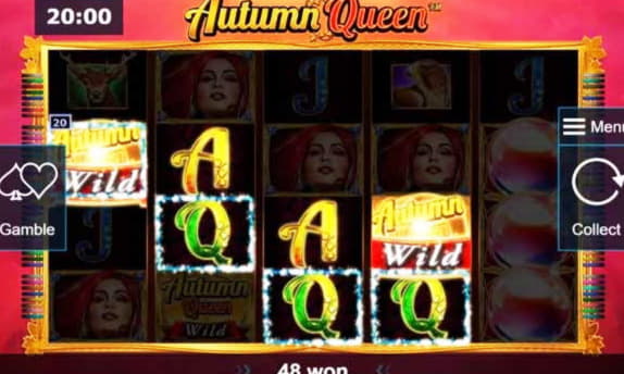 11 Free spins no deposit at Video Slots Casino