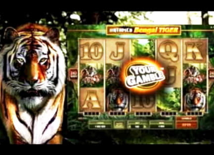 EURO 805 Mobile freeroll slot tournament at Rizk Casino