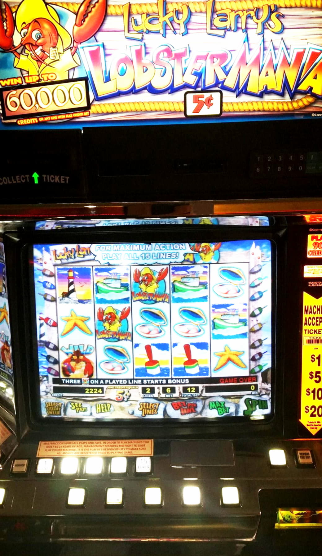 540% No Rules Bonus! at LV Bet Casino