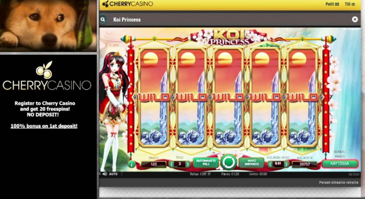 $60 Casino Tournament at Casino Cruise