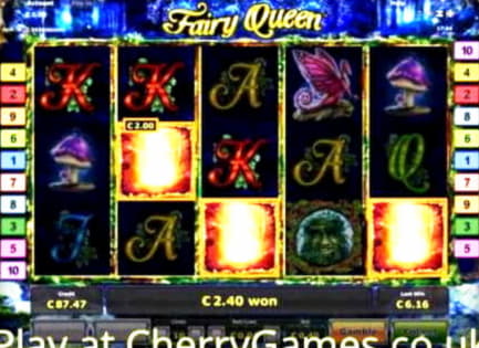 135 free spins at Leo Dubai Casino