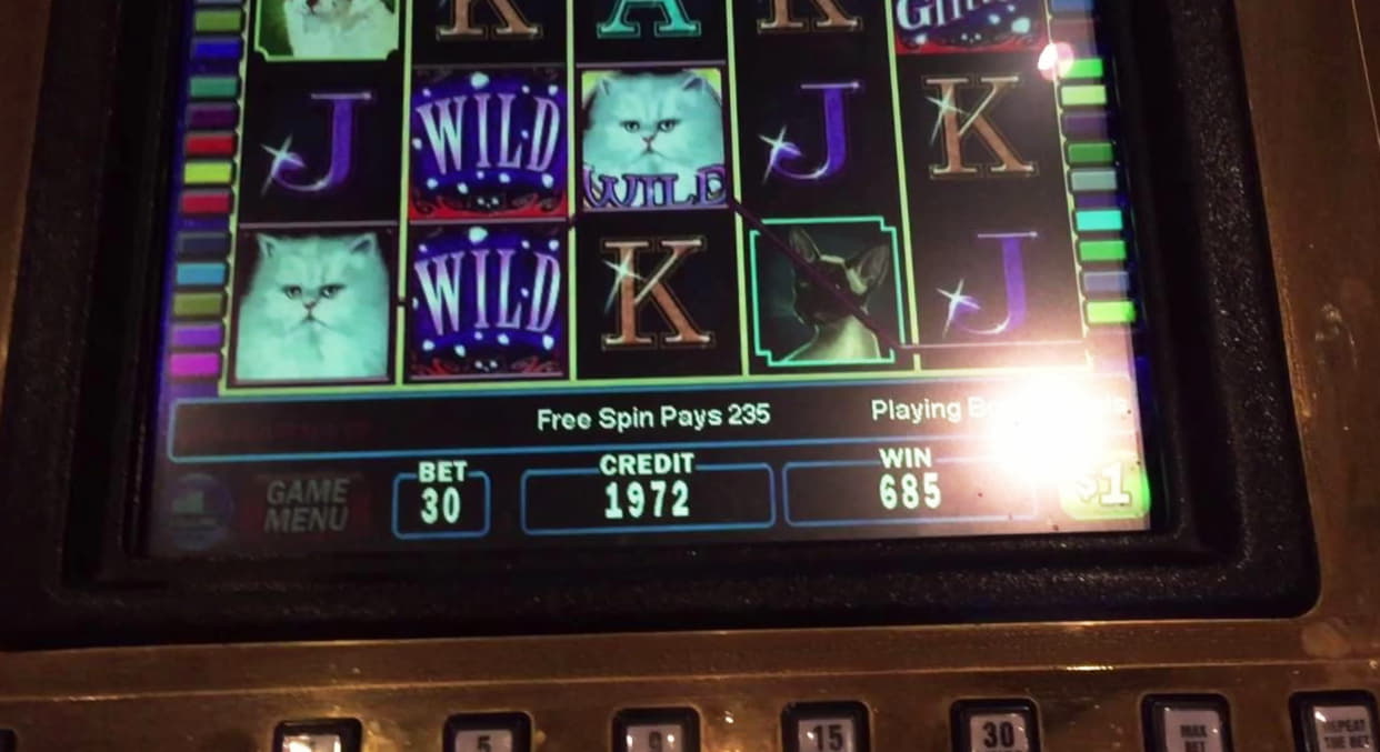 Eur 50 free chip casino at 777 Casino