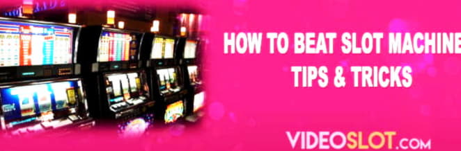 €2430 No Deposit Bonus Casino at Slotty Vegas Casino