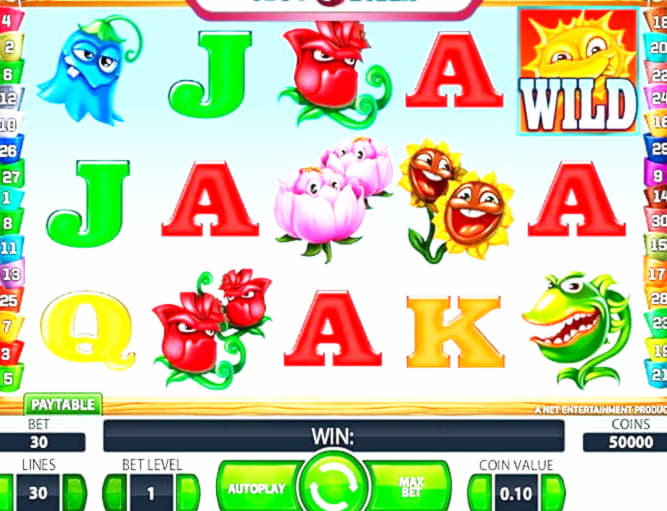 240 Free Spins no deposit casino at Video Slots Casino